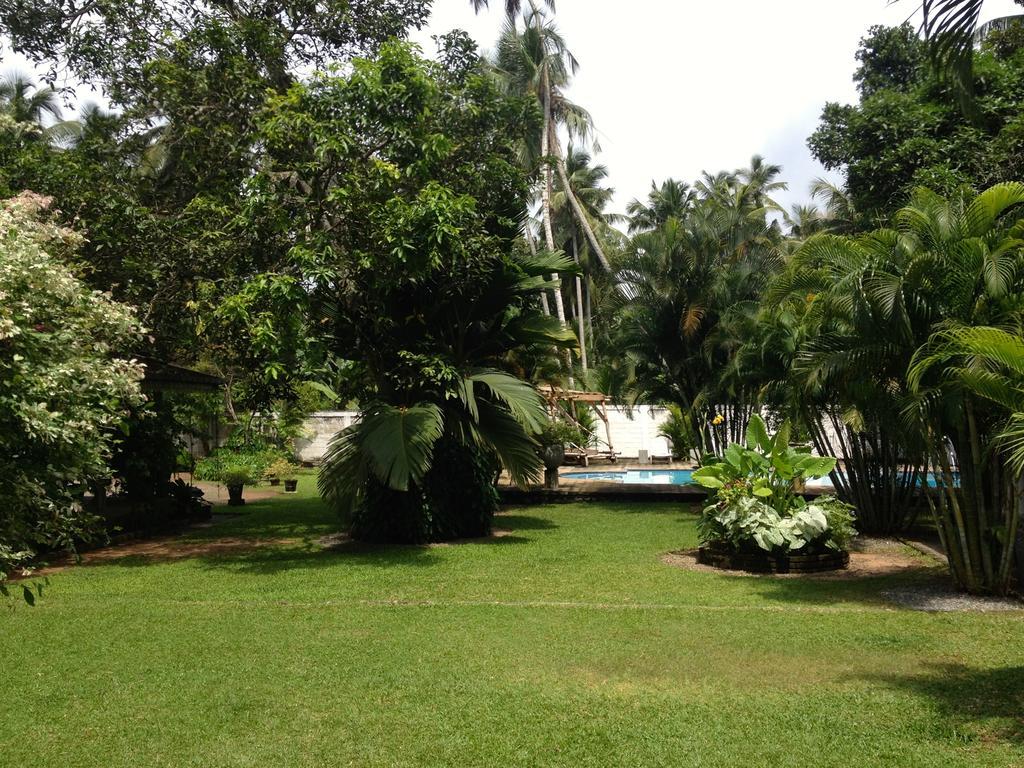 Hotel Fire Dragon Hideaway Negombo Zewnętrze zdjęcie