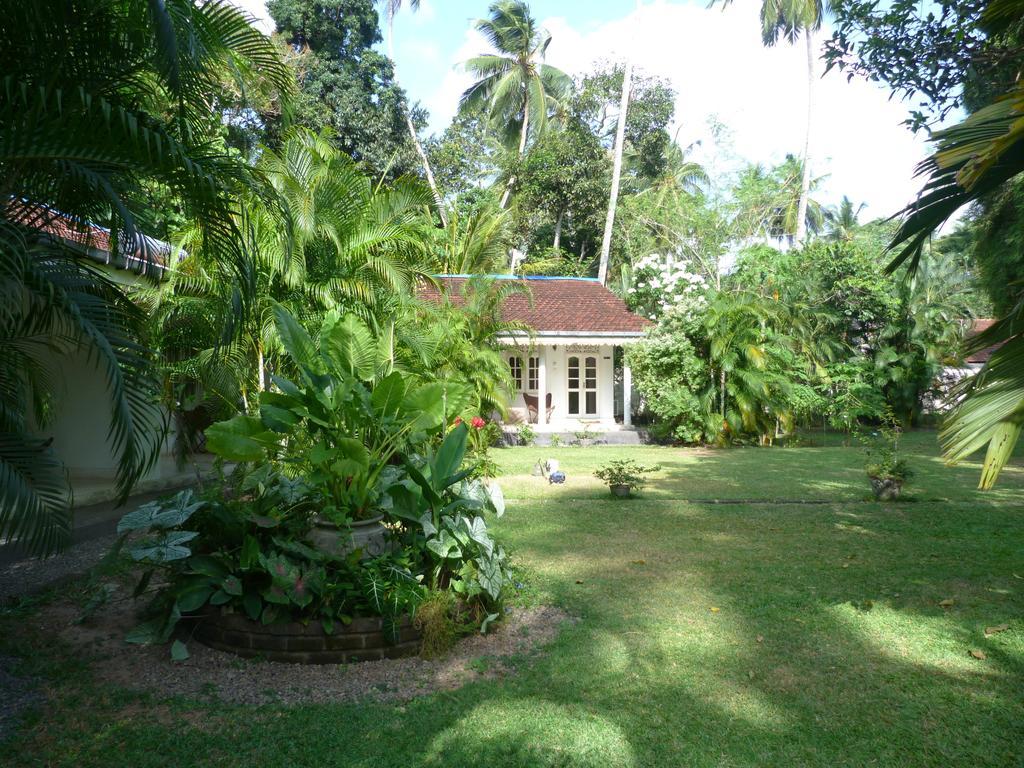 Hotel Fire Dragon Hideaway Negombo Zewnętrze zdjęcie
