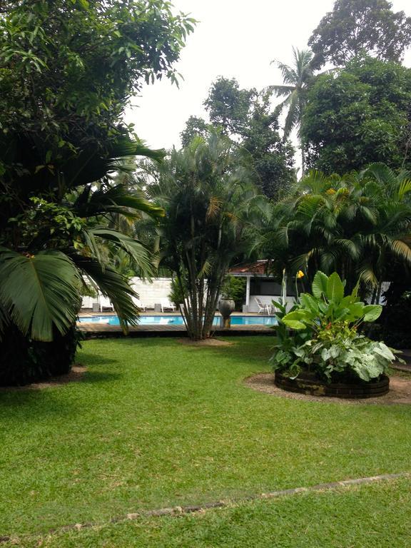 Hotel Fire Dragon Hideaway Negombo Zewnętrze zdjęcie
