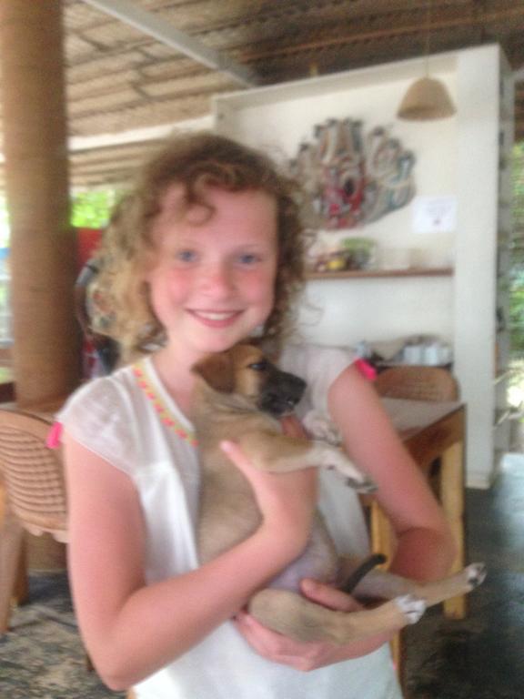 Hotel Fire Dragon Hideaway Negombo Zewnętrze zdjęcie