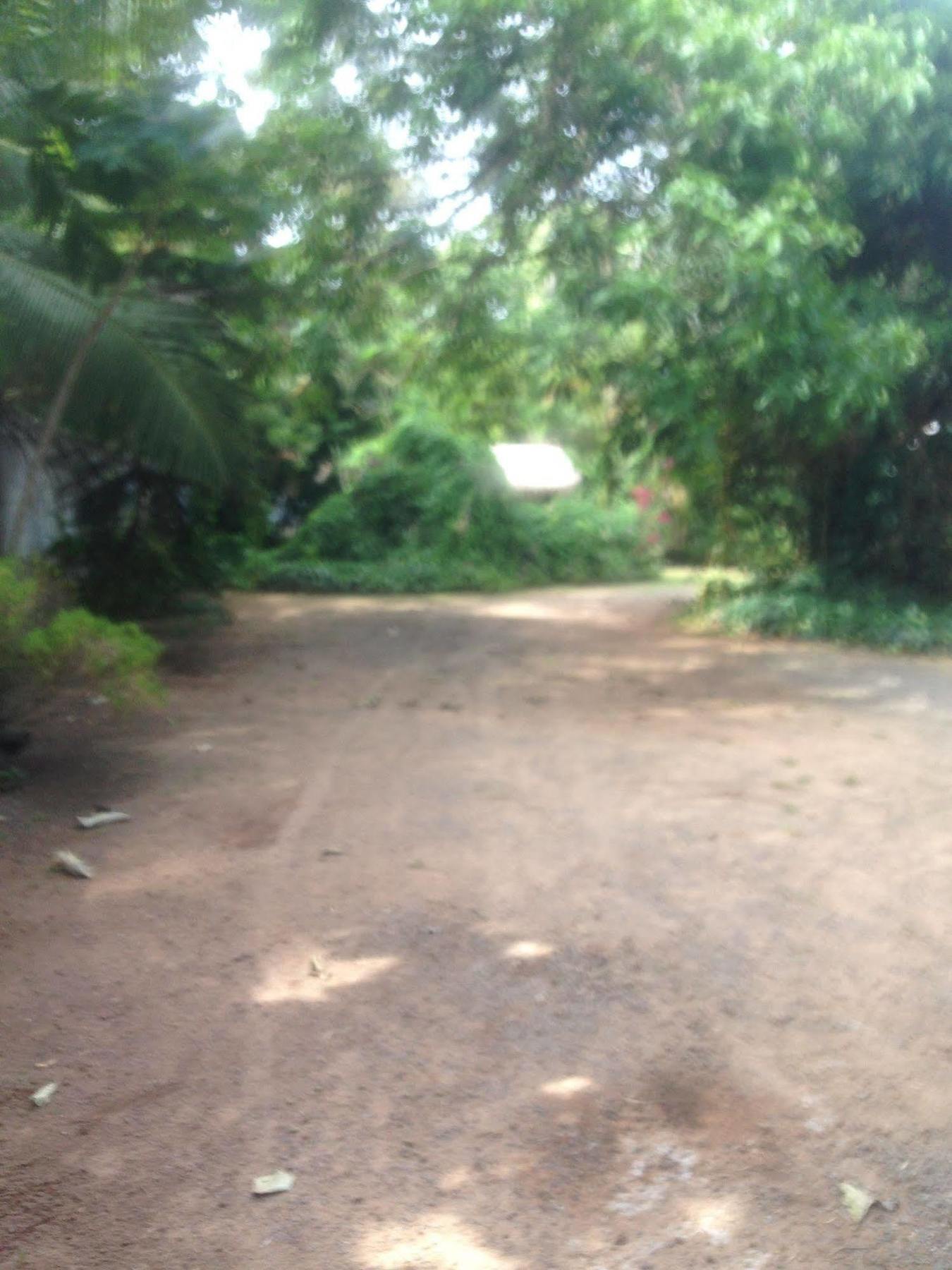 Hotel Fire Dragon Hideaway Negombo Zewnętrze zdjęcie