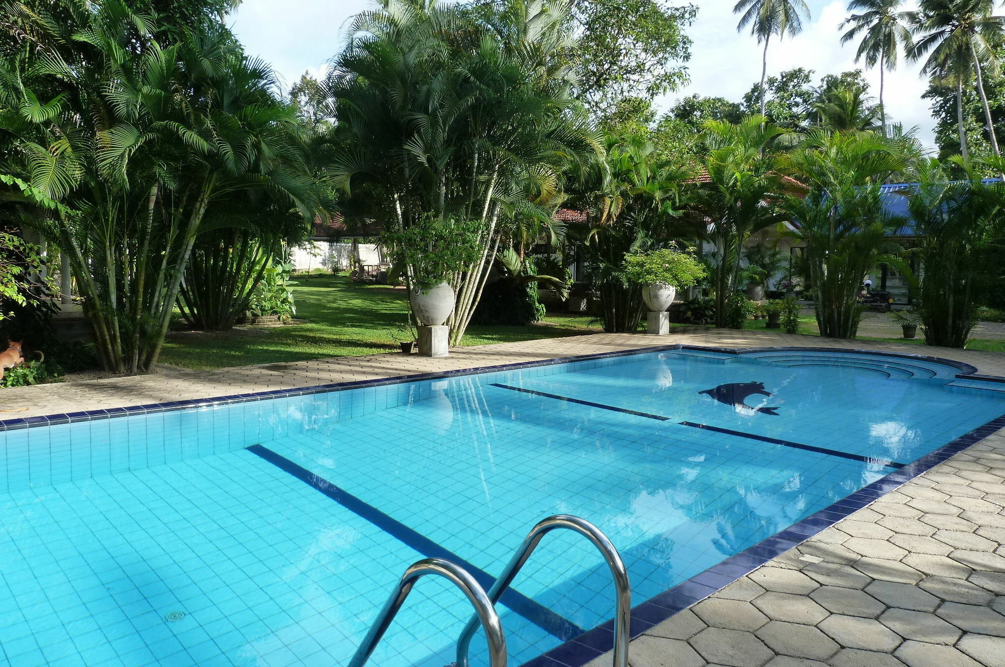 Hotel Fire Dragon Hideaway Negombo Zewnętrze zdjęcie