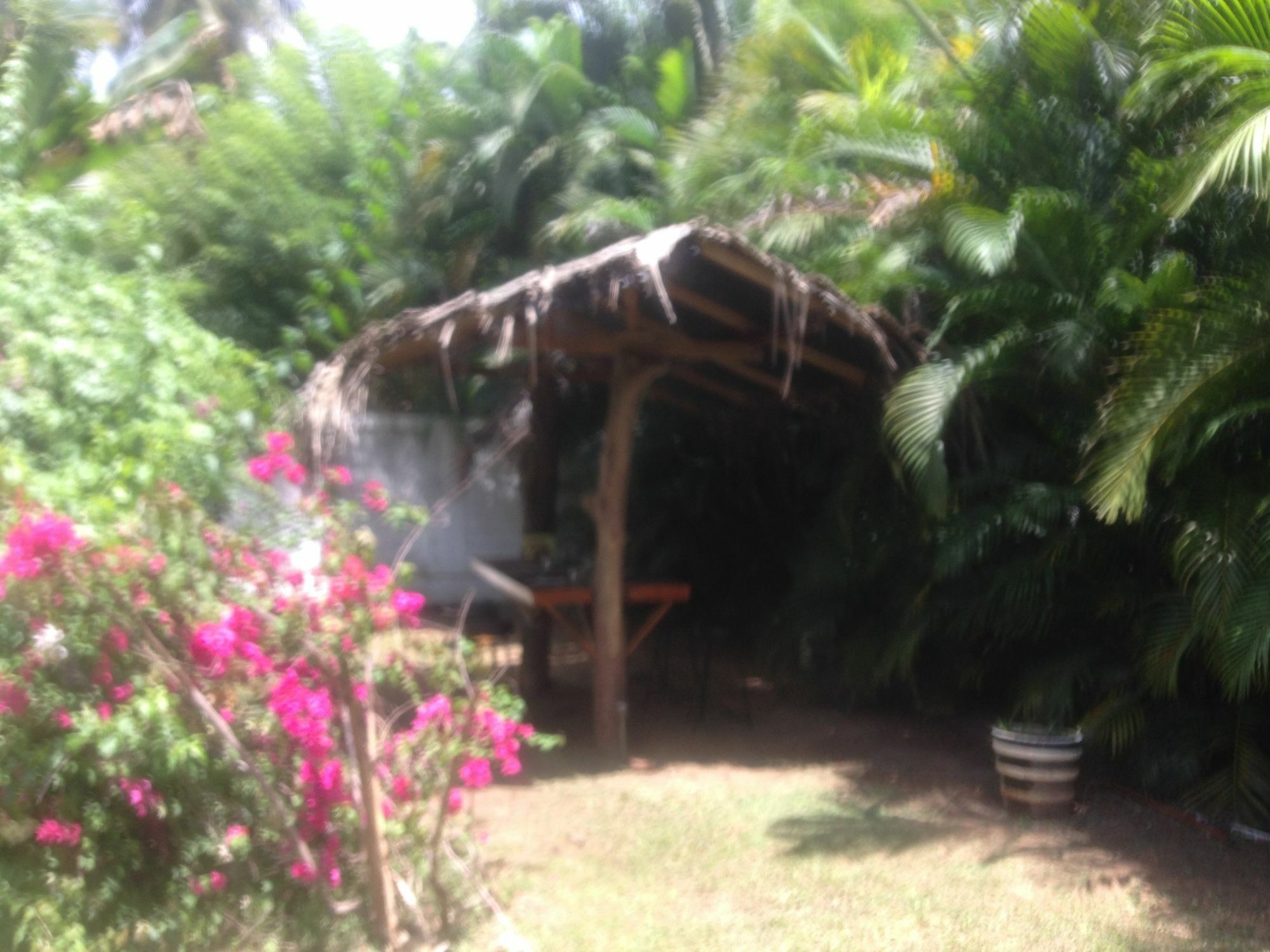 Hotel Fire Dragon Hideaway Negombo Zewnętrze zdjęcie