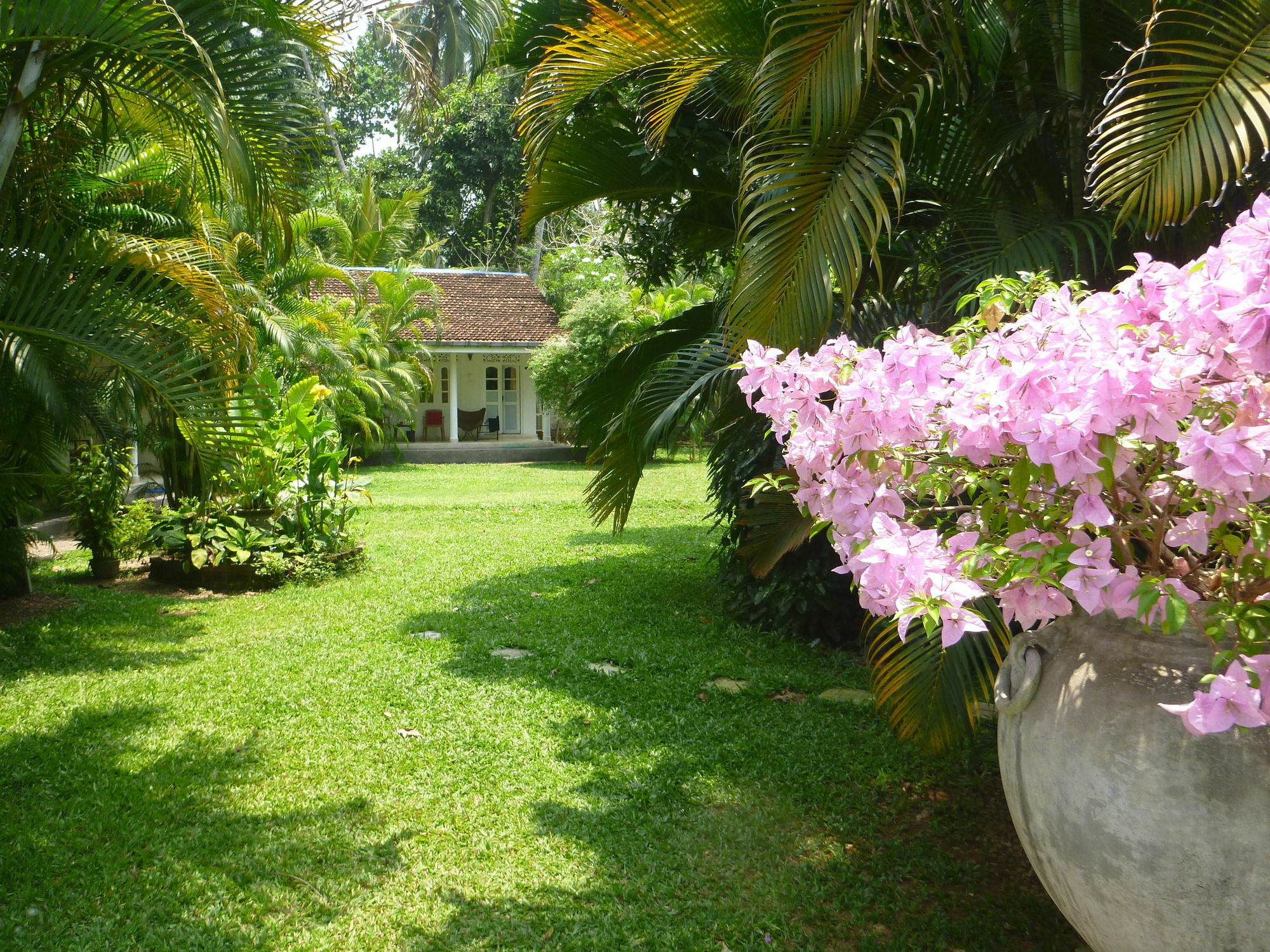 Hotel Fire Dragon Hideaway Negombo Zewnętrze zdjęcie