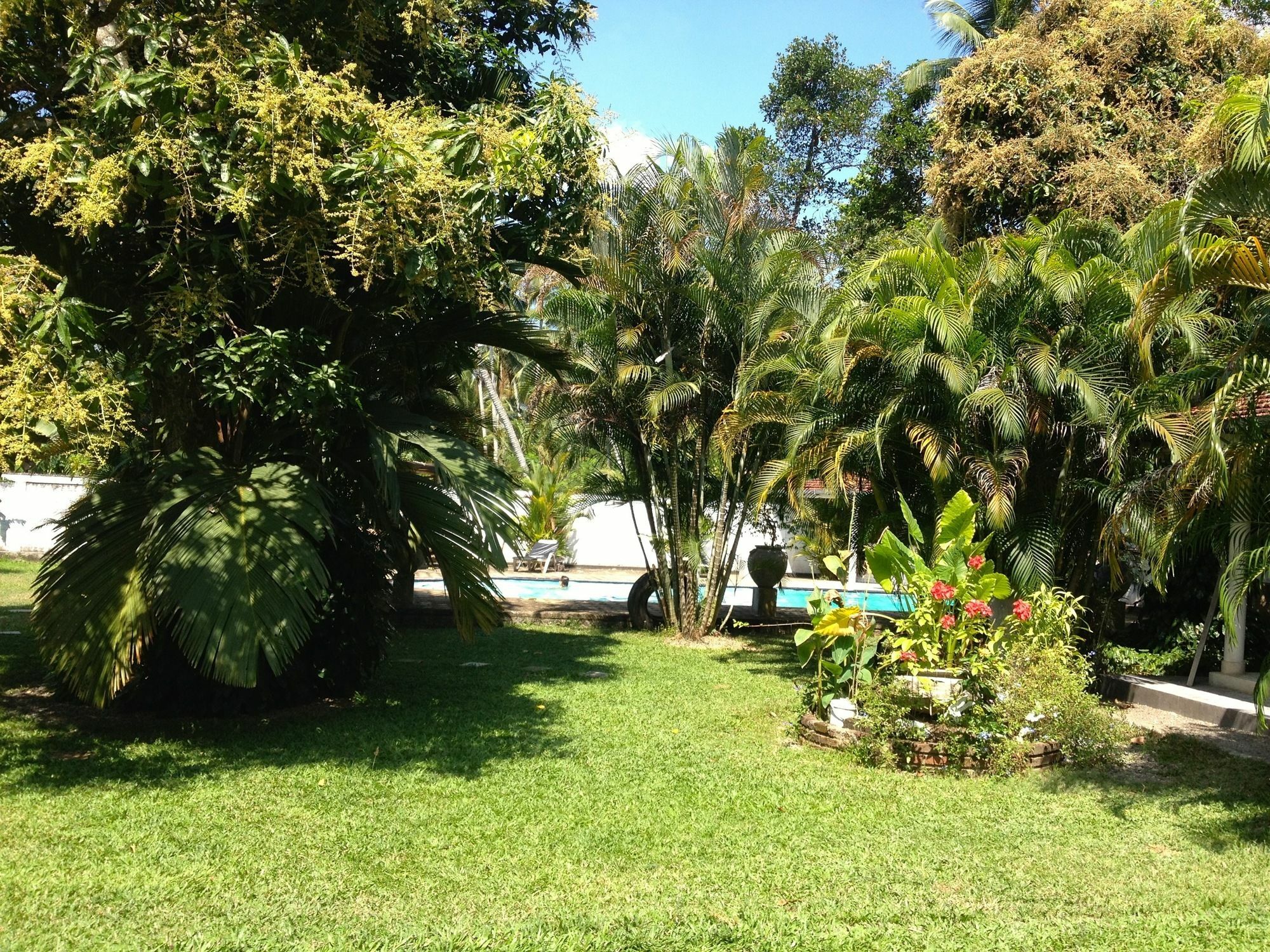 Hotel Fire Dragon Hideaway Negombo Zewnętrze zdjęcie
