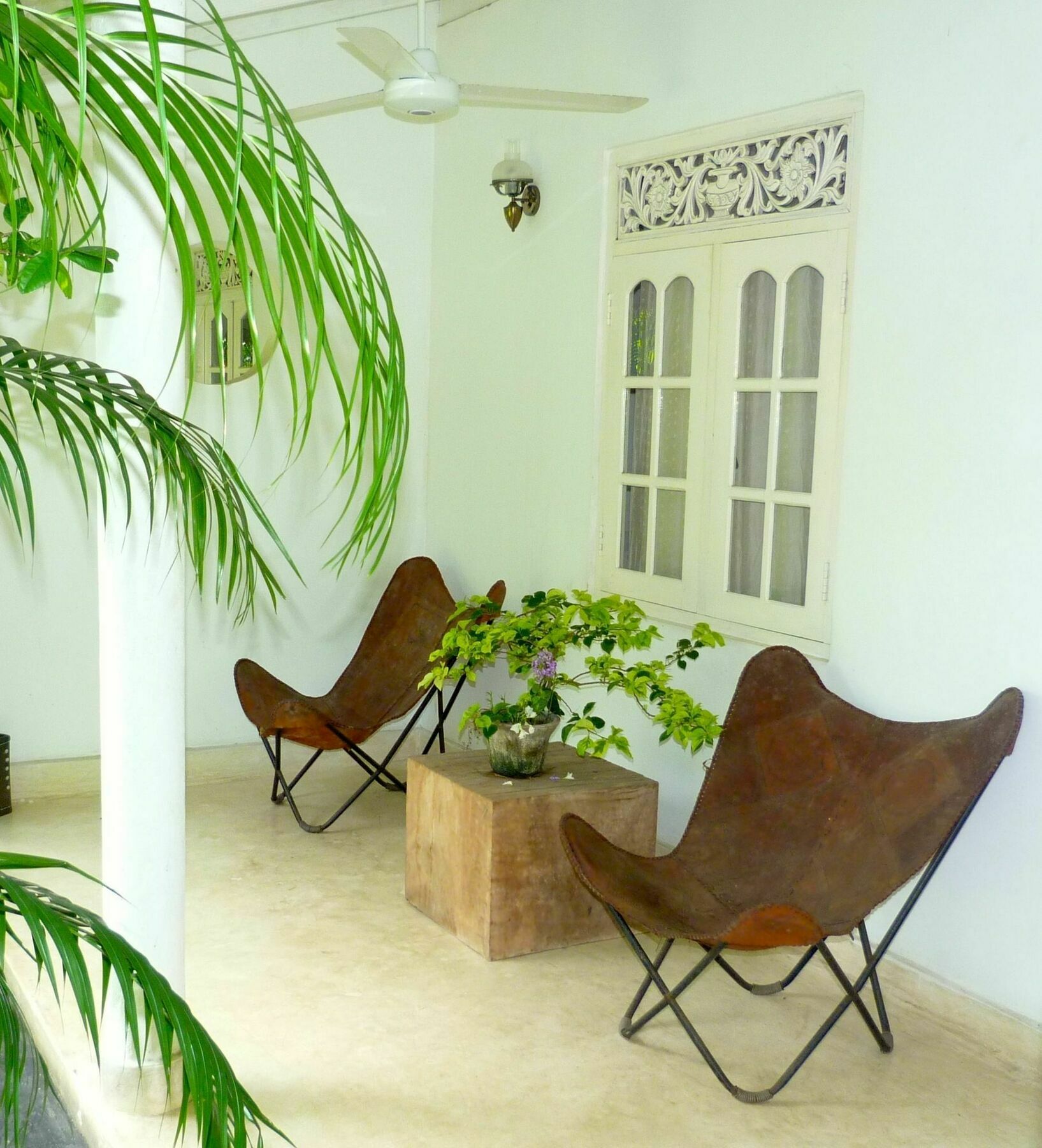 Hotel Fire Dragon Hideaway Negombo Zewnętrze zdjęcie