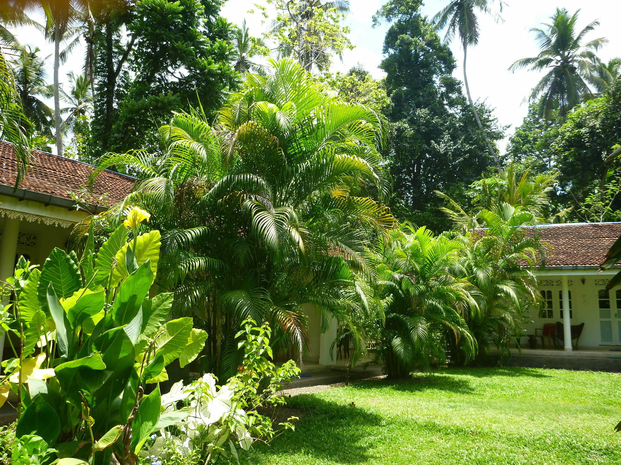 Hotel Fire Dragon Hideaway Negombo Zewnętrze zdjęcie